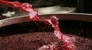 visuel-la-vinification-2-mini.jpg